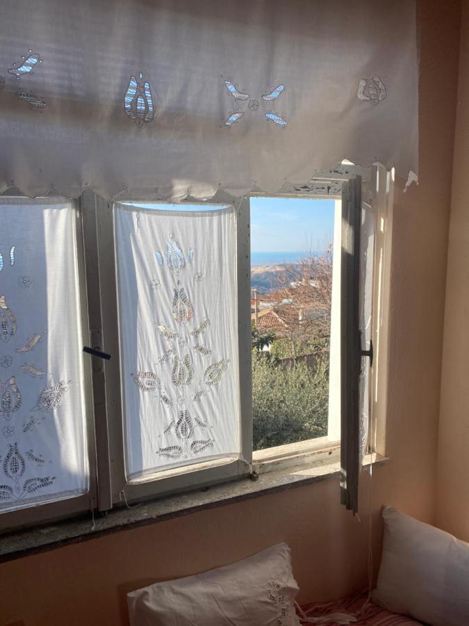 Quarto em Acomodações Particulares Llulla *